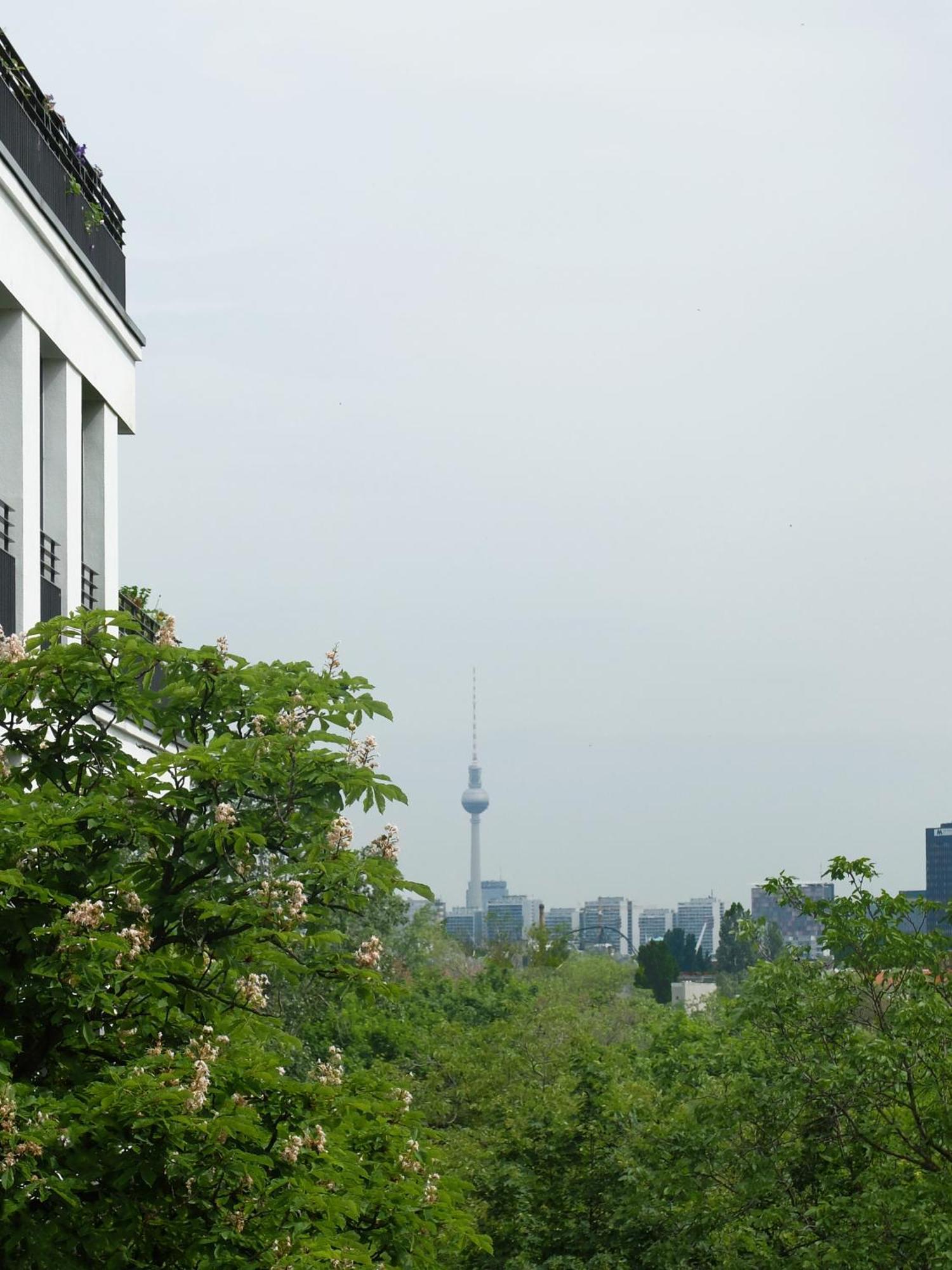 Auberge de jeunesse Berlincity